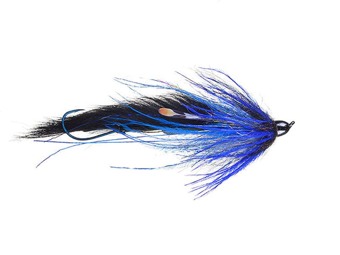 dirty hoh fly