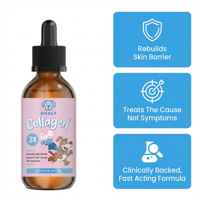 Dog Liquid Collagen | Pet Supplement – Skin, Coat & Joint Support