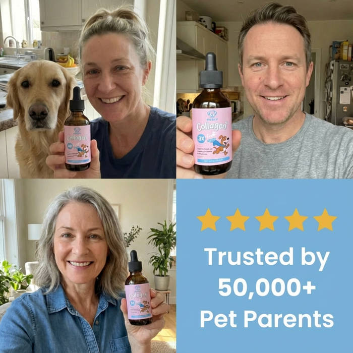 Dog Liquid Collagen | Pet Supplement – Skin, Coat & Joint Support