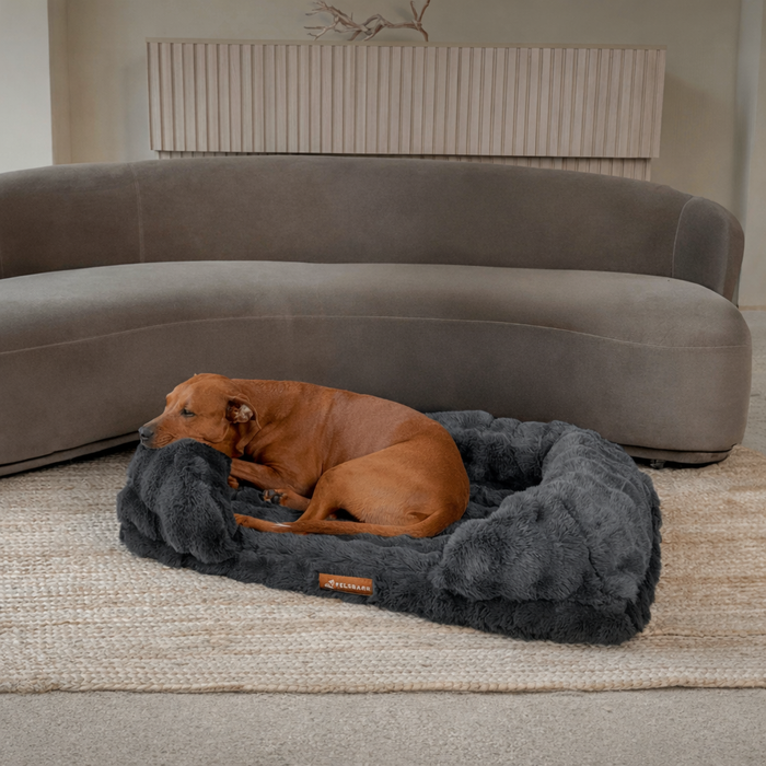 Dog Orthopedic Bed | Dog Bed – Therapy-Grade Comfort & Plush Luxury