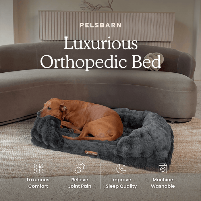 Dog Orthopedic Bed | Dog Bed – Therapy-Grade Comfort & Plush Luxury