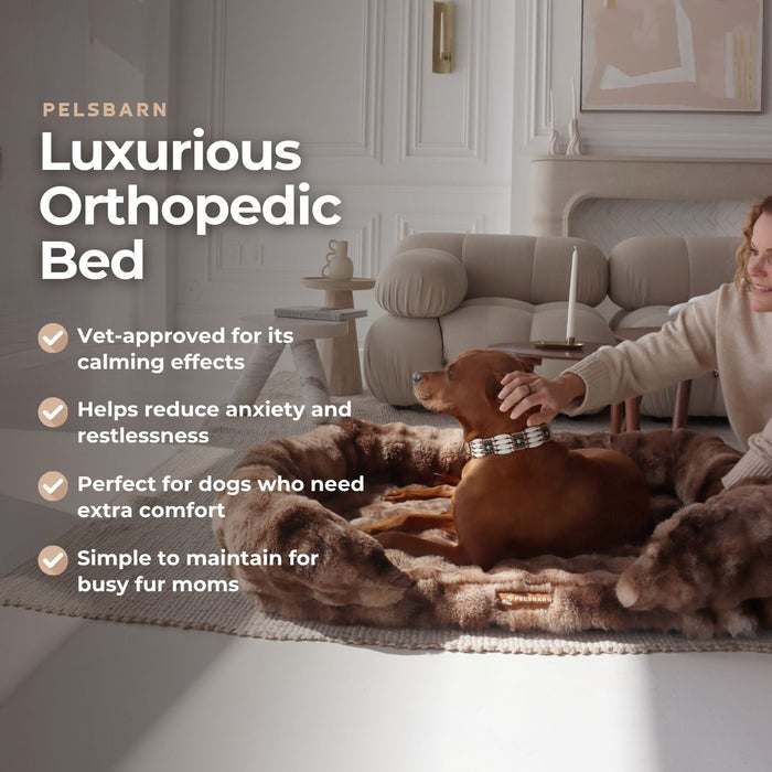 Dog Orthopedic Bed | Dog Bed – Therapy-Grade Comfort & Plush Luxury