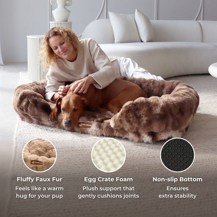 Dog Orthopedic Bed | Dog Bed – Therapy-Grade Comfort & Plush Luxury