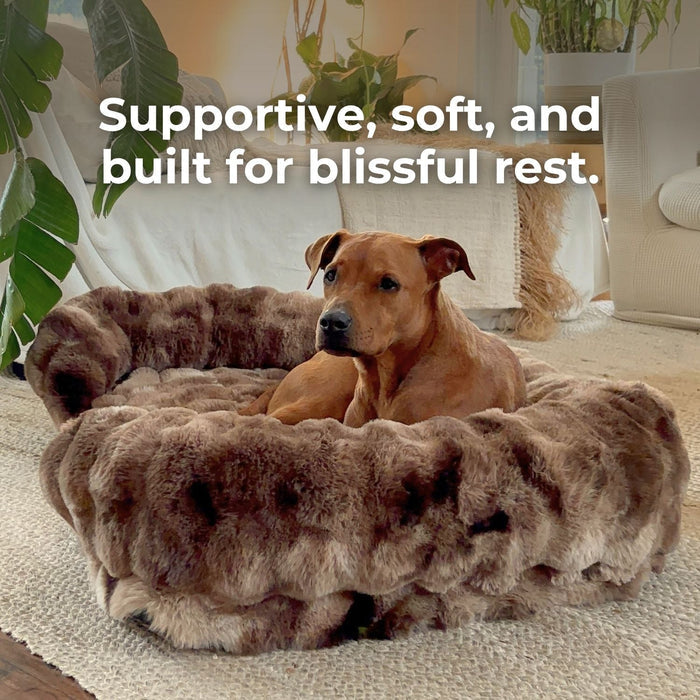 Dog Orthopedic Bed | Dog Bed – Therapy-Grade Comfort & Plush Luxury