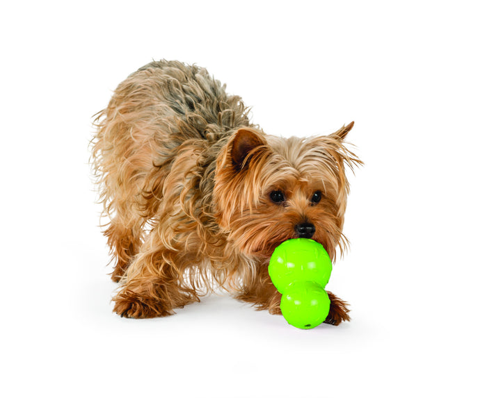 Dog Toy: Diamond Plate (FINAL SALE)