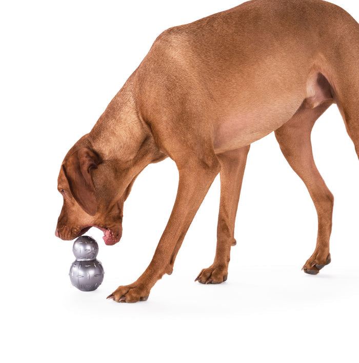 Dog Toy: Diamond Plate (FINAL SALE)