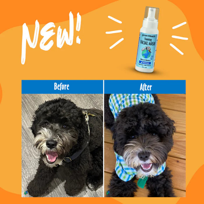 Earthbath Foaming Facial Wash for Dogs & Cats
