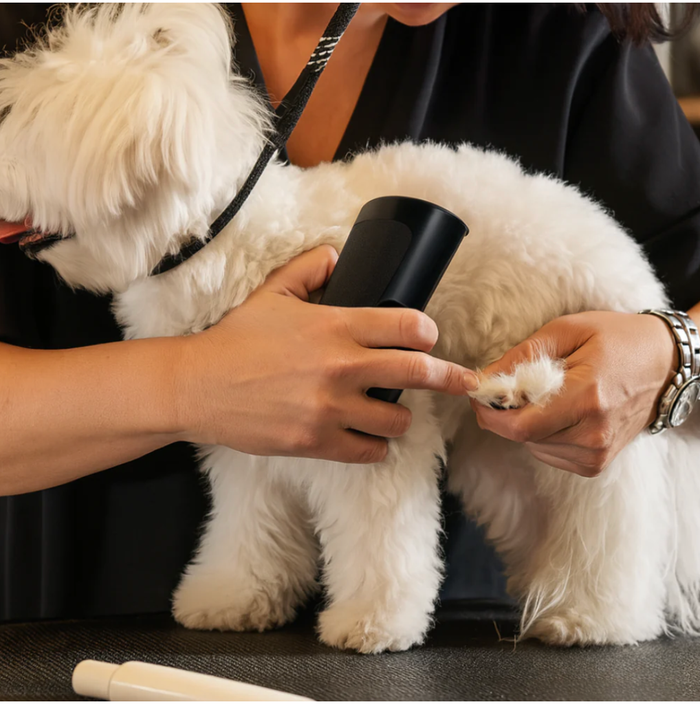 Ergonomic Pet Deshedding Brush for Dogs & Cats | Stainless Steel Comb