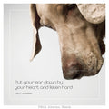 Famous Barks: Basha's Put Your Ear Down