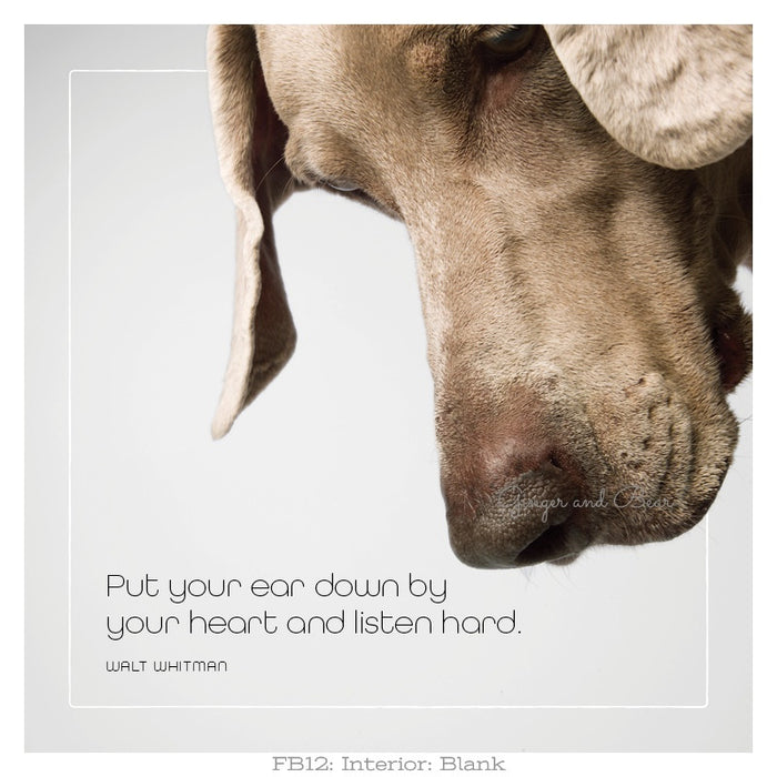Famous Barks: Basha's Put Your Ear Down