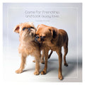 Famous Barks: George & Peanut's Friendship