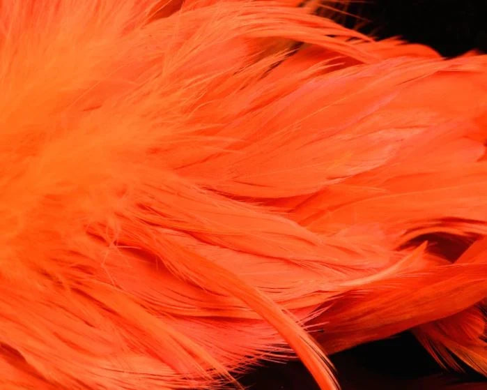 Fl. Steelhead Orange UV