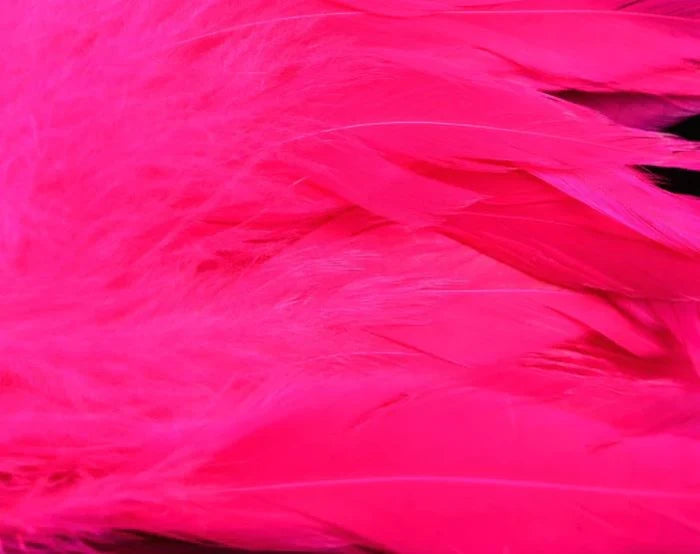 Fl. Hot Pink UV