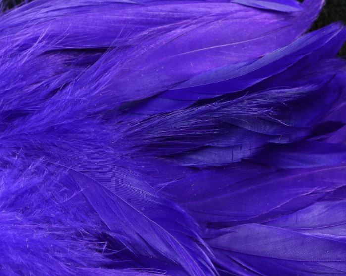 Fl. Steelhead Purple (UV)