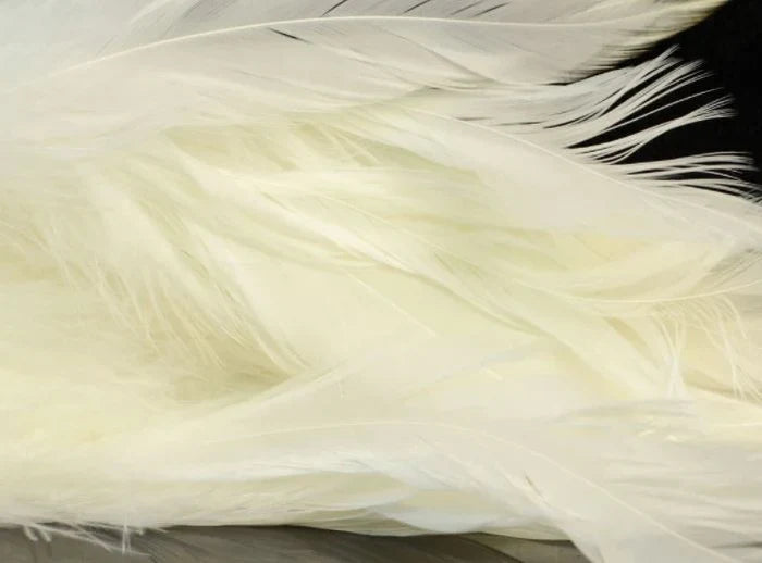 Bleached white Fish Hunter Select Schlappen – soft, flowing feathers ideal for streamers, saltwater flies, and clean collars with high contrast.