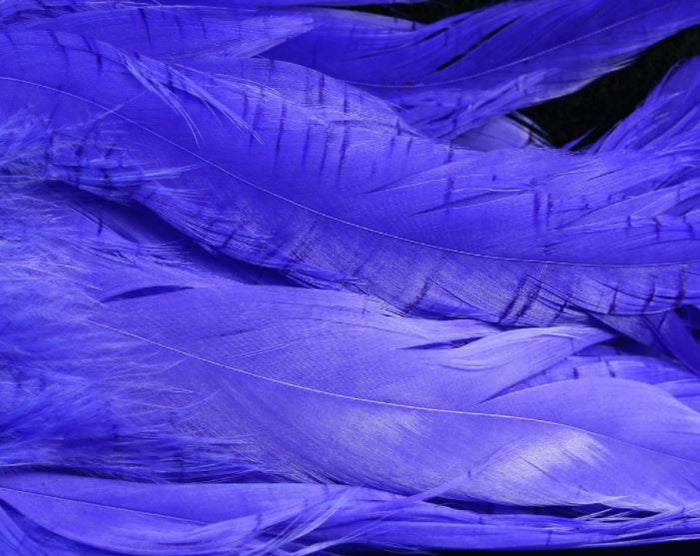 Purple Fish Hunter Select Schlappen – rich violet feathers perfect for spey flies, leeches, and steelhead swing patterns.