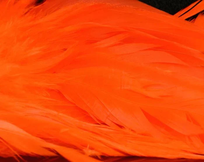 Hot orange Fish Hunter Select Schlappen – bright orange feathers for egg-sucking leeches, salmon flies, and attention-grabbing streamer accents.