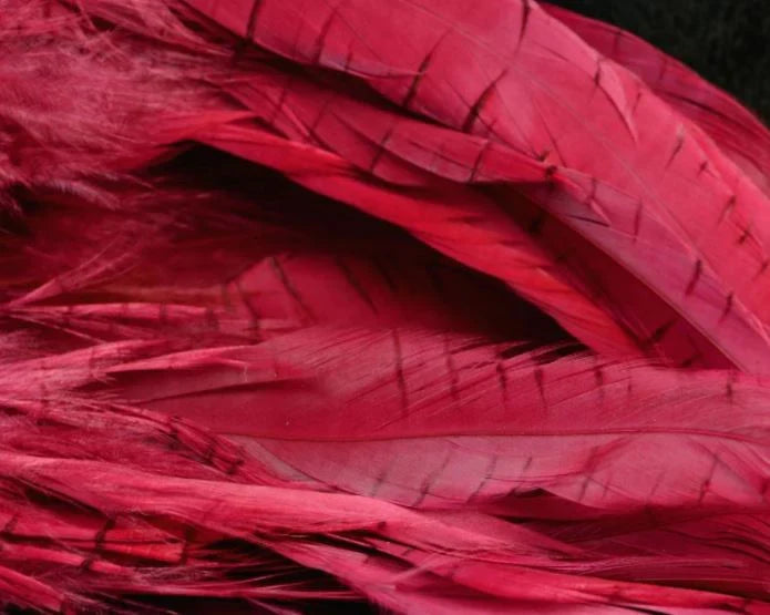 Maroon wine Fish Hunter Select Schlappen – deep burgundy feathers ideal for moody streamers and steelhead flies.