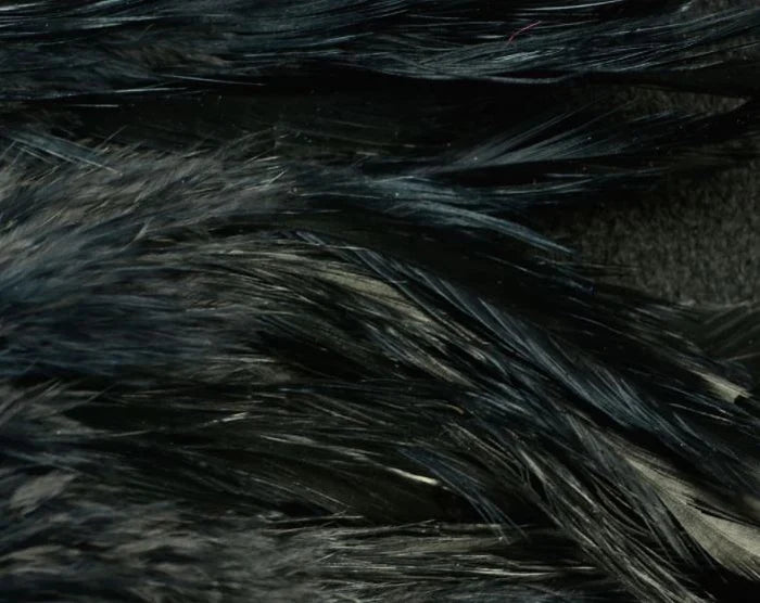 Black Fish Hunter Select Schlappen – classic dark feathers for leeches, buggers, and silhouette-rich streamers.