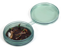 Fishpond Shallow MagPad Fly Puck
