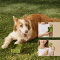 Foldable Travel Bowl | Dog Feeding – Flexible Food & Water Use