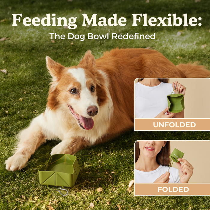 Foldable Travel Bowl | Dog Feeding – Flexible Food & Water Use