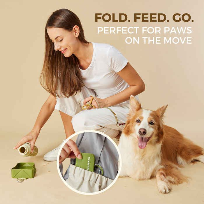 Foldable Travel Bowl | Dog Feeding – Flexible Food & Water Use