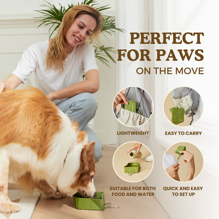 Foldable Travel Bowl | Dog Feeding – Flexible Food & Water Use