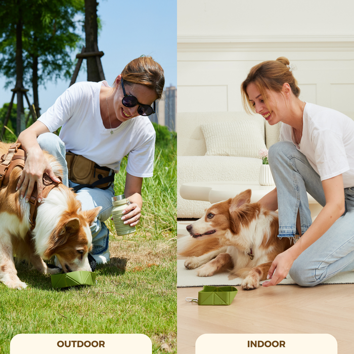 Foldable Travel Bowl | Dog Feeding – Flexible Food & Water Use