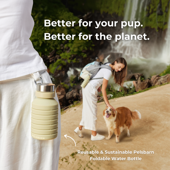 Foldable Water Bottle | Water Bottle – Reusable & Sustainable Travel