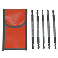 Ford Automotive Rocker Lock Pick Set