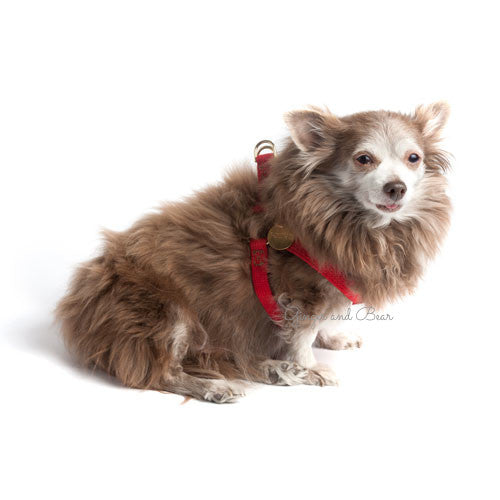 Found My Animal Hand dyed Harness, Red [FINAL SALE]