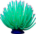 GLOFISH ANEMONE GREEN
