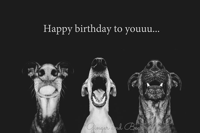 Greeting card: Happy Birthday to you...