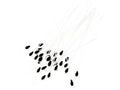 Aqua Flies Halo Eyes in silver, 3D domed fly tying eyes for steelhead intruders, baitfish, and streamer patterns.