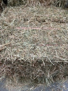 HAY RYE & CLOVER new season