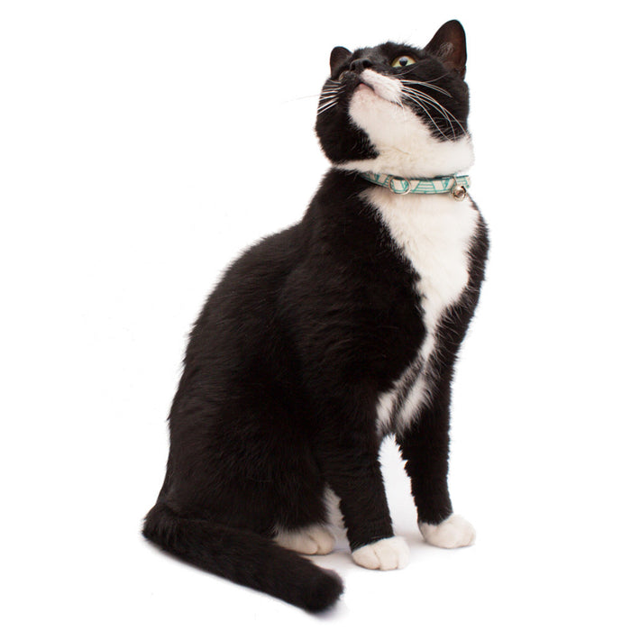 Hiro+Wolf Cat Collar, Geo Green