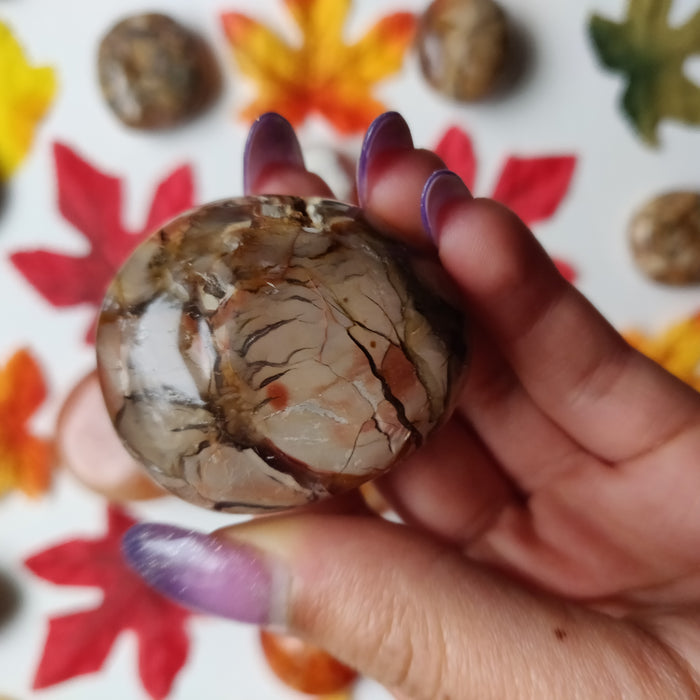 Ibis Jasper Palm Stone (#A5)