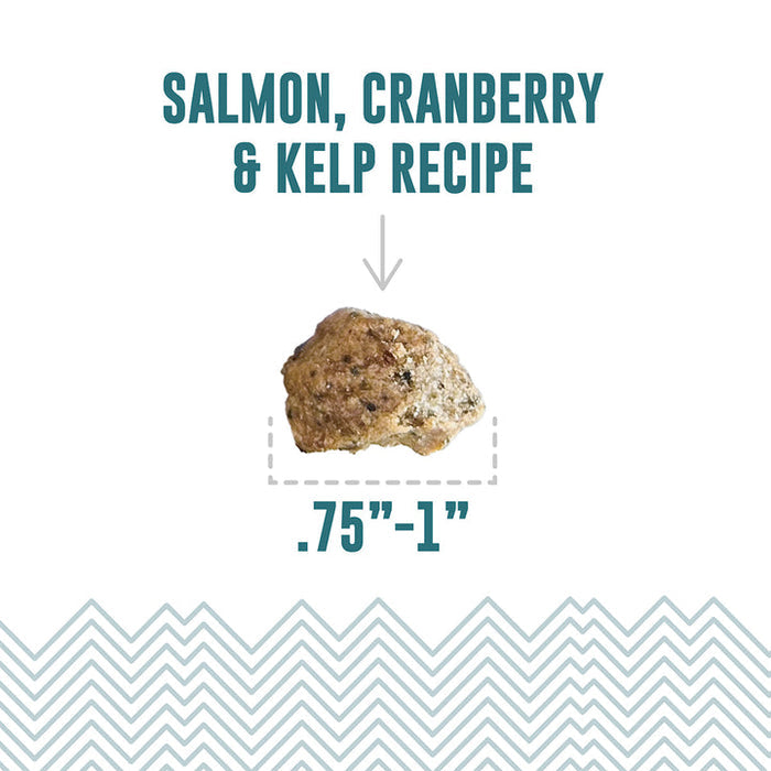 Icelandic+ Salmon, Cranberry & Kelp Recipe Soft & Chewy Bites for Dogs