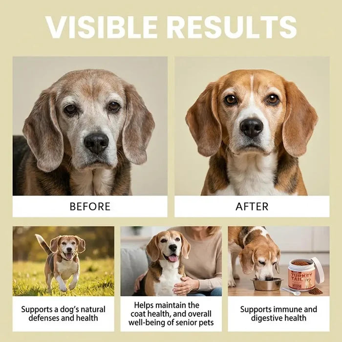 Immune Support Powder for Dogs | Daily Wellness Supplement 100g