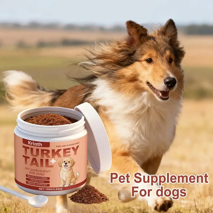 Immune Support Powder for Dogs | Daily Wellness Supplement 100g
