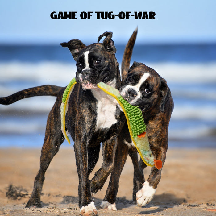 Interactive Crinkle Squeaky Dog Toy for Treat Hunting & Mental Enrichment