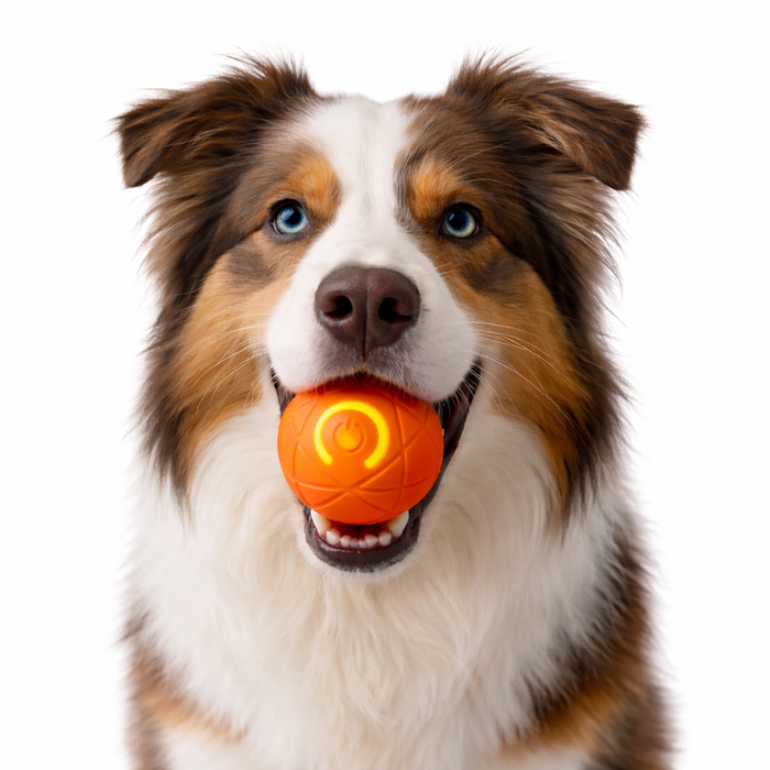 Interactive Dog Ball – Motion Activated LED Dog Toy