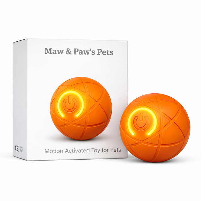 Interactive Dog Ball – Motion Activated LED Dog Toy