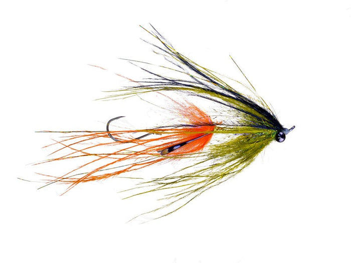 jerrys intruder