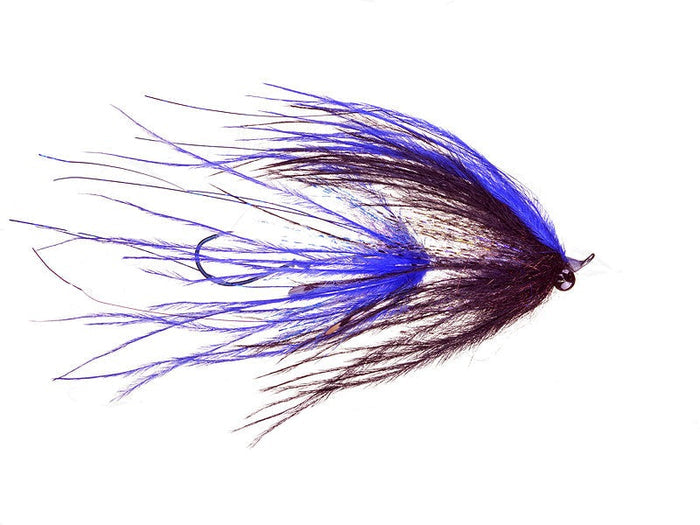jerrys intruder