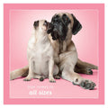Love: Love Comes In All Sizes
