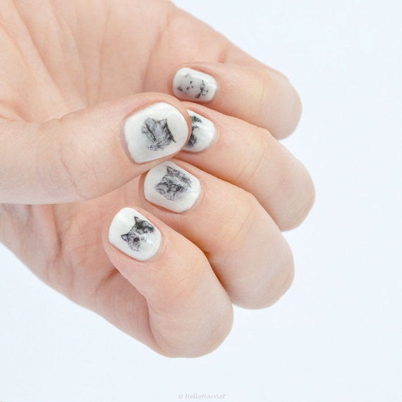 Nail transfer: Cats (FINAL SALE)