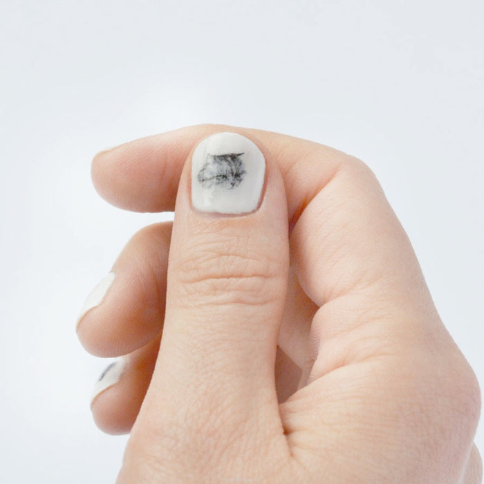 Nail transfer: Cats (FINAL SALE)