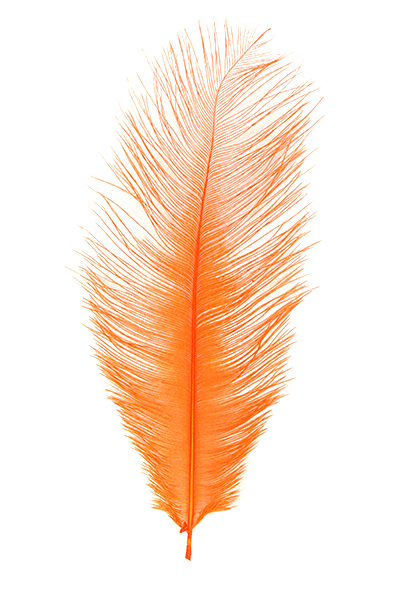 Hot Orange